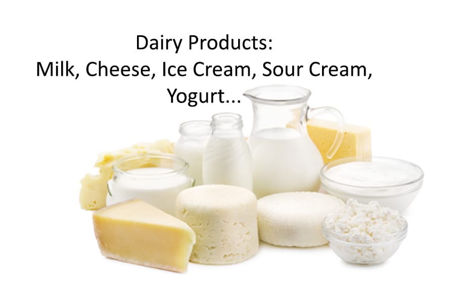 Dairy products (milk, cheese, ice cream, sour cream, yogurt)