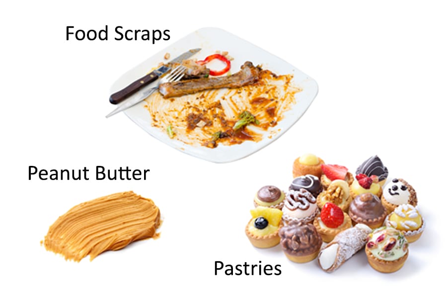 Food scraps, peanut butter, pastries