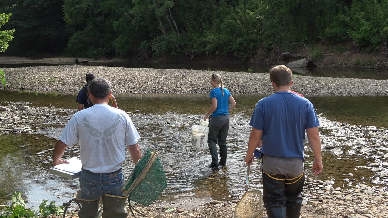 People wading in a river